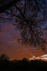 atardecer