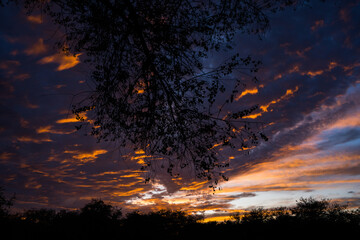atardecer