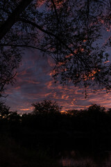 atardecer