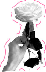 Fototapeta premium Halftone Hand With Rose