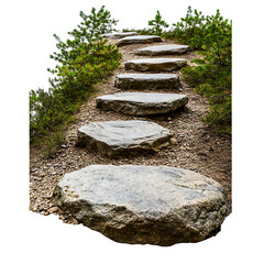 A forest path lined with small stones, isolated on a white background.