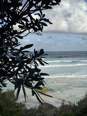 Kings beach in byron bay