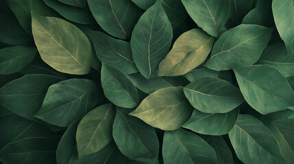 Fototapeta premium Creative Illustration of Green Leaves Arranged Artistically, Inspiring Calm Ambience and Vibrant Natural Expression Uniquely