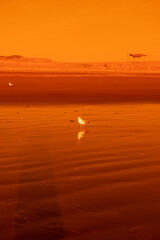 atardecer en el mar