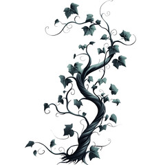 A thick vine with curling tendrils, isolated on a white background. © Ayaan