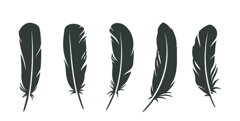 Bird feather icons set. Dark or black plumes silhouettes of fluffy angel, goose or swan wings. Design elements for tattoo or logo. Flat vector illustration collection isolated on white background