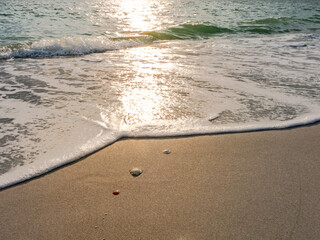 Seashells and Rolling Waves - Coastal Tranquility with sun reflected on water 