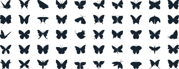 Butterfly vector illustration set, line art style, Butterflies in various poses. Perfect for spring, summer designs, invitations.