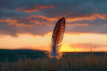 A Feather's Tale: Capturing Synecdoche Through Nature's Lens