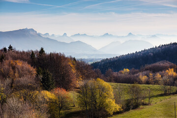 A view of the Alps in a light cloudy haze. Autumn trees in the foreground.