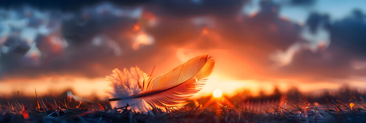 A Feather's Tale: Capturing Synecdoche Through Nature's Lens