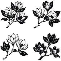 Vector magnolia flower set silhouette