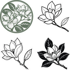 Vector magnolia flower set silhouette