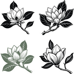 Vector magnolia flower set silhouette