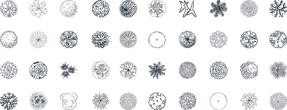 Vector tree top watercolor hand drawn view isolated on white background for landscape plan and architecture layout drawing,