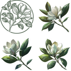 Vector magnolia flower set silhouette