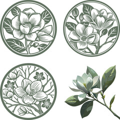 Vector magnolia flower set silhouette © ShahAlam