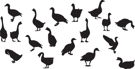 Set of ducks silhouettes in different poses