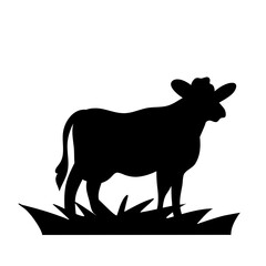 Cows Silhouettes
