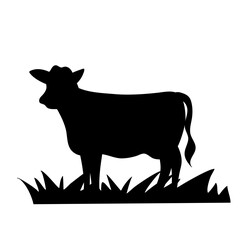 Cows Silhouettes
