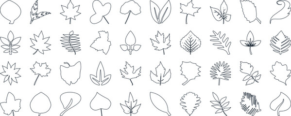 Leaf silhouettes, vector collection, diverse leaves shapes, nature elements. Ideal for eco friendly brand aesthetics, botanical illustrations, educational materials, artistic designs