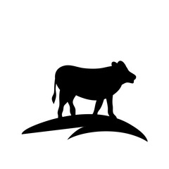 Cow grazing on meadow
