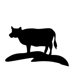 Cow grazing on meadow
