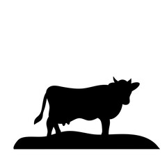 Cow grazing on meadow
