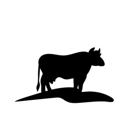 Fototapeta premium Cow grazing on meadow 