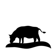 Cow grazing on meadow
