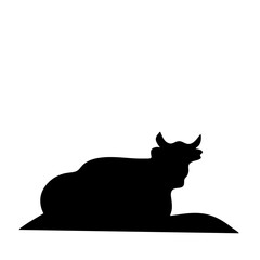 Cow grazing on meadow
