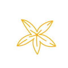 Collection of spring colorful flower
