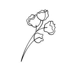 simple delicate hand drawn flowers
