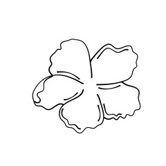 simple delicate hand drawn flowers
