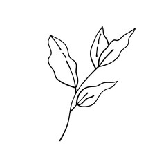 simple delicate hand drawn flowers
