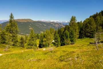 Amazing views of the picturesque high Dolomites mountains, lawns and summer forest
