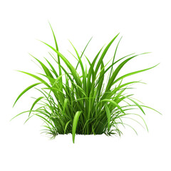 Fototapeta premium Lush green grass clump on a transparent background