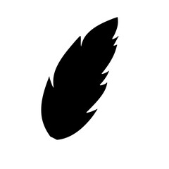 Feather black icon
