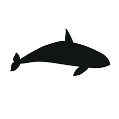 Vector flat hand drawn killer whale silhouette isolated on white background