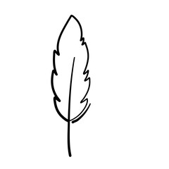 Graphical mono line feathers
