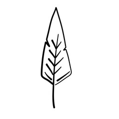 Graphical mono line feathers
