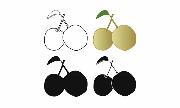  collection of pear fruit illustrations in outline, silhouette, and colored styles. Ideal for food packaging, branding, botanical designs, and educational materials