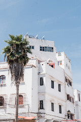 A multi-story white building, against a clear blue sky and palm tree.