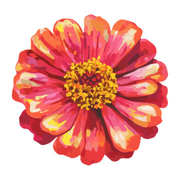 red zinnia flower watercolor style clip art preview