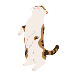 後ろ足で立ち上がる三毛猫のイラスト
