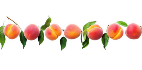 row of fresh peaches arranged neatly on a white background. complemented by green leaves. showcasing their vibrant colors and natural beauty this composition highlights the appeal of the fruit. making