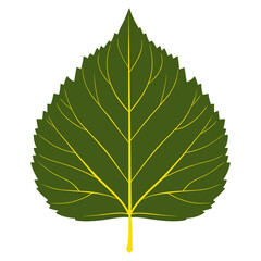 Obraz premium Green yellow birch leaf illustration chandelier botanical vector