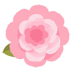 Camellia flower illustration art carnation  vector