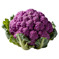 Purple cauliflower isolated on transparent background 