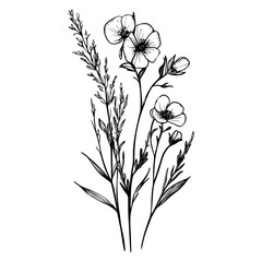 Obraz premium Art illustration minimalist drawing vector